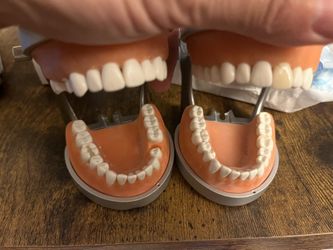 Dental Kit