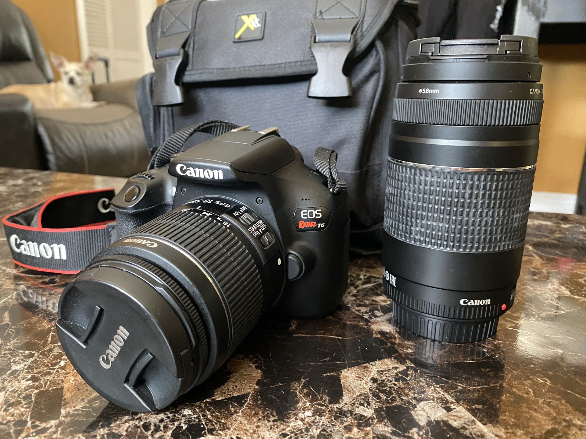 Canon Rebel T6 Camera