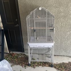 Bird Cage