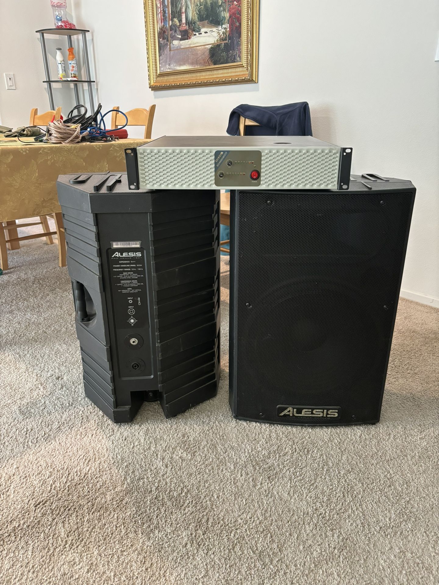 OFFER-ALESIS Professional Sound Set Of Speakers And Amplifier