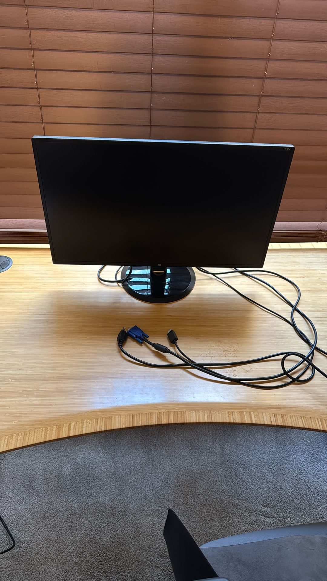 HP Computer Monitor