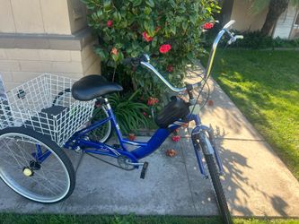 Trike