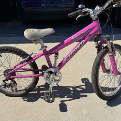 Specialized Hot Rock 20