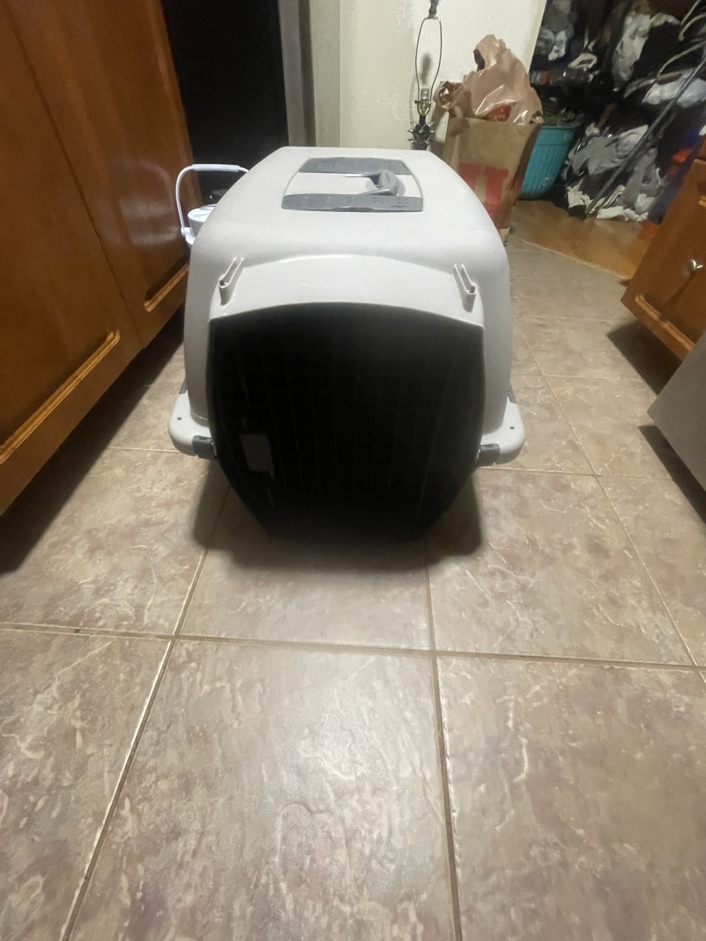 Dog Kennel