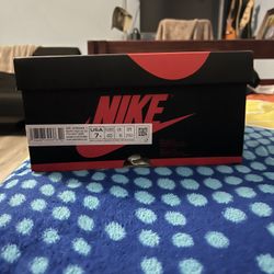 Jordan 1 New In Box Shoe Brown And Black Gold 