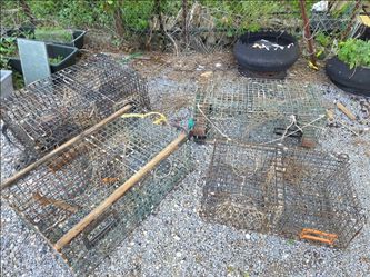 Metal lobster traps crab ocean fishing boating