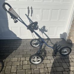 BAG BOY EXPRESS 3-Wheel G O L F Cart (Amazing Condition)