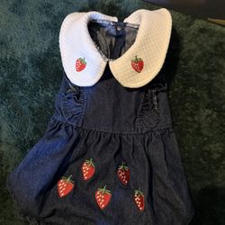 Dog Dress Size Medium 