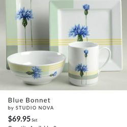 Stella Nova Blue Bonnet Fine Porcelain China 21 Pieces
