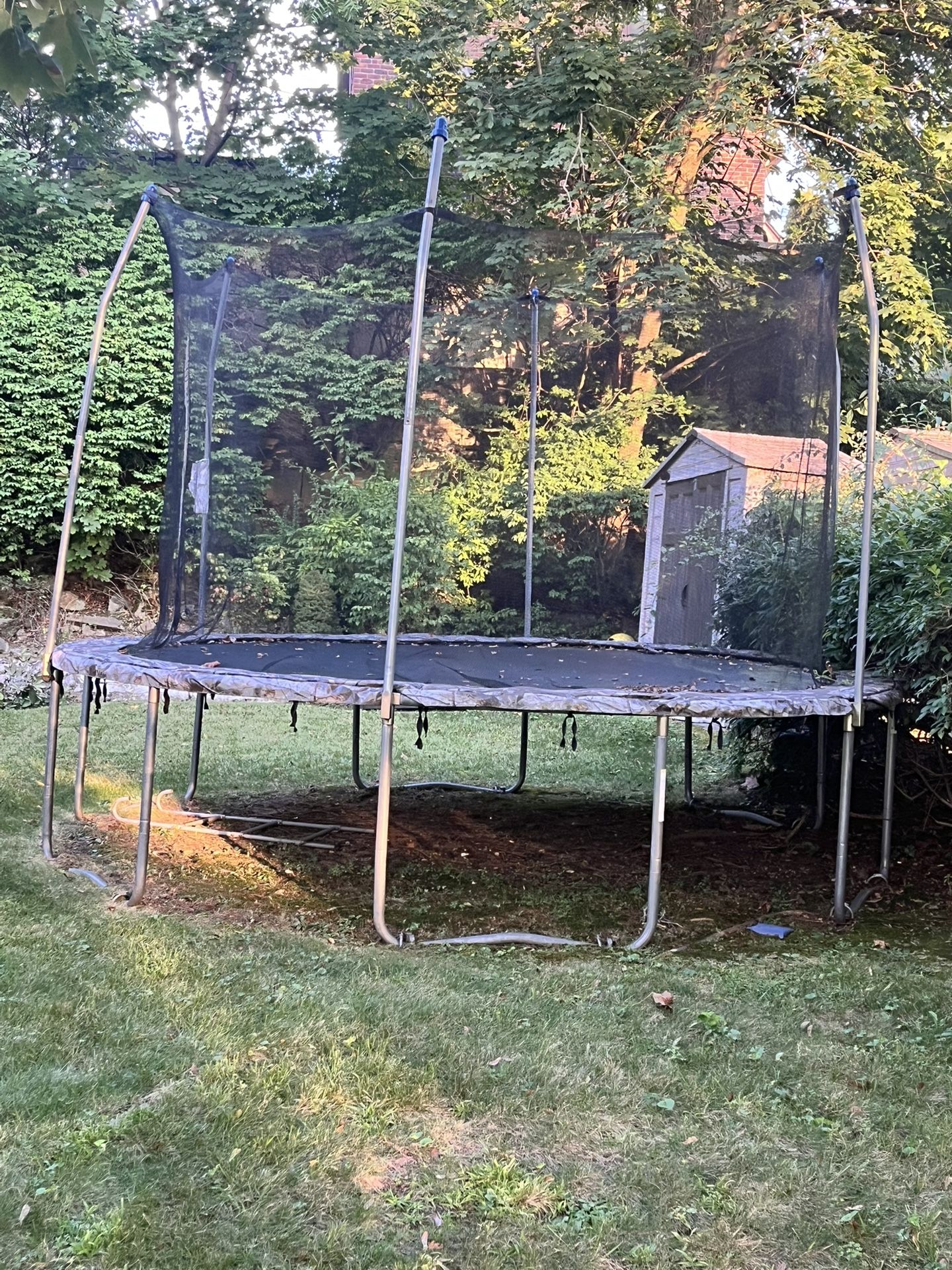 Trampoline
