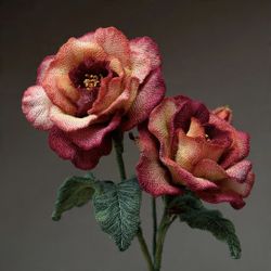 Decoration 🌹 Plnts and Tree's 