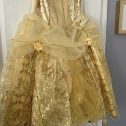 Bran New Princess Dress Special Edition