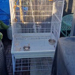 Bird Cage 