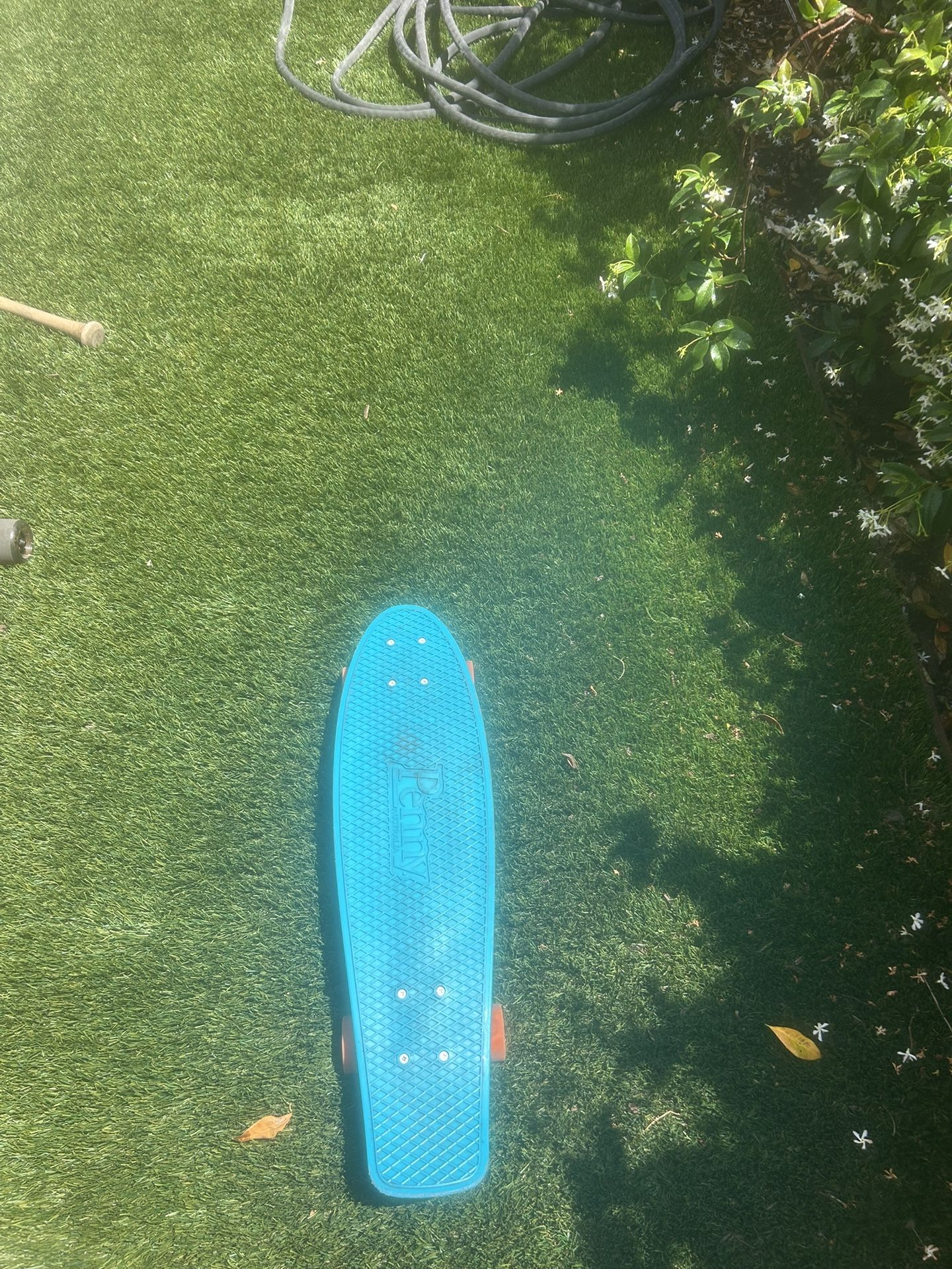 Skate Board 