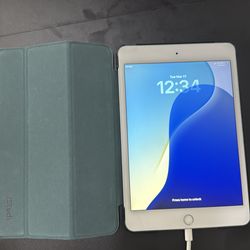 iPad mini 5th gen cellular and WiFi