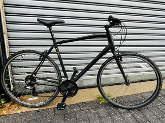 Raleigh Cadent XL Bike