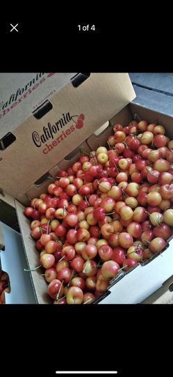 $15 a box of rainier sweet and fresh