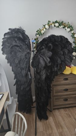 black wings 