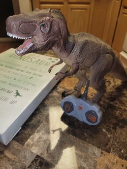 Remote Control Dinosaur And Wall Art