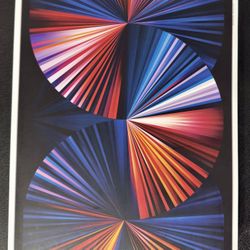 iPad 5th Gen 12.9-M1 256GB (Like New) 