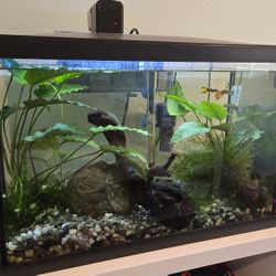 30 Gallon Fish Tank (Plus Accessories)