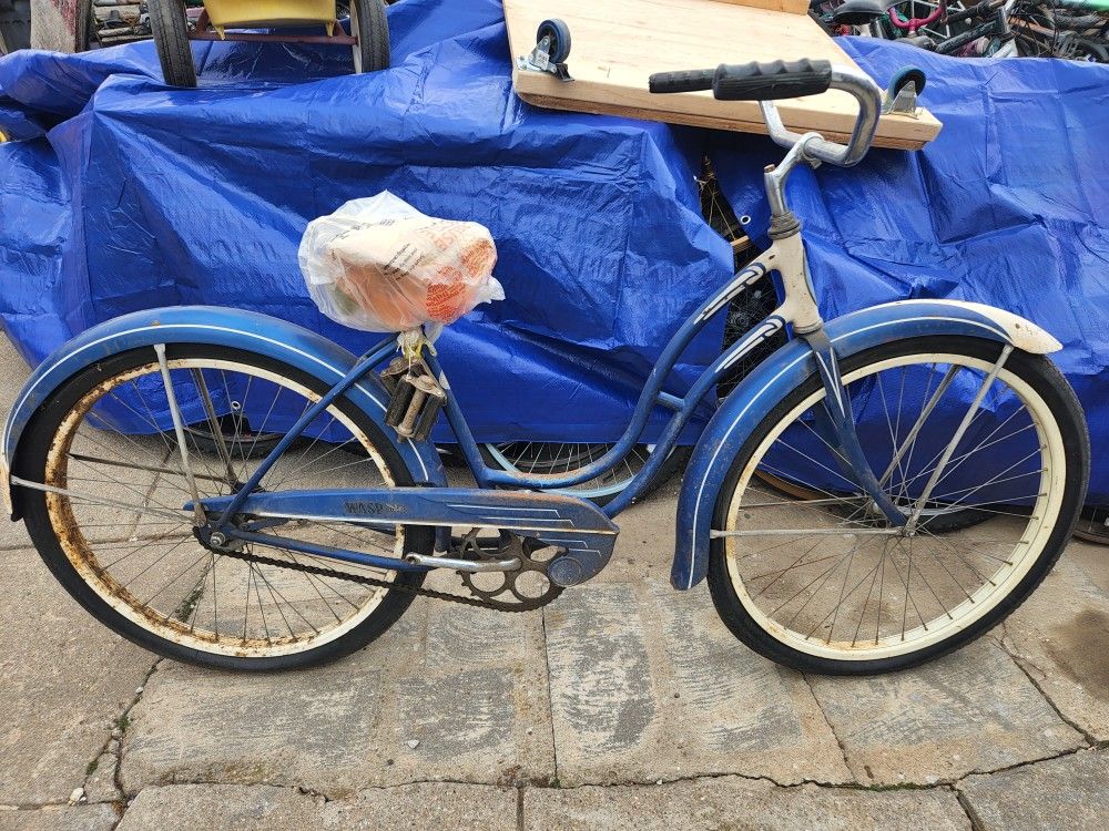 Schwinn Blue Wasp