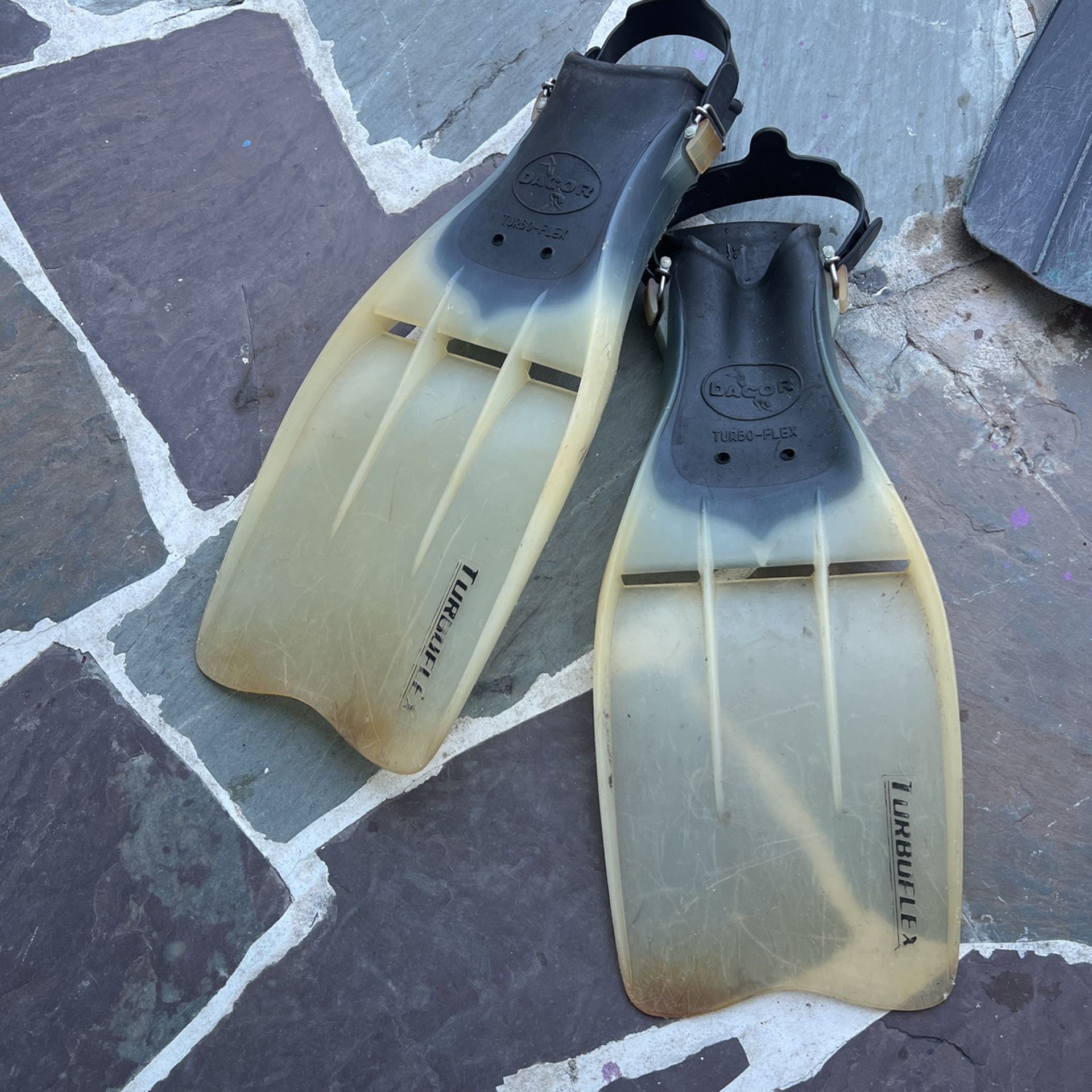 Scuba Dive Gear