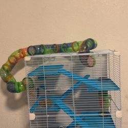 hamster 