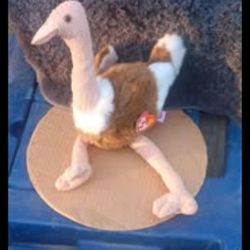 ty beanie babies collectibles