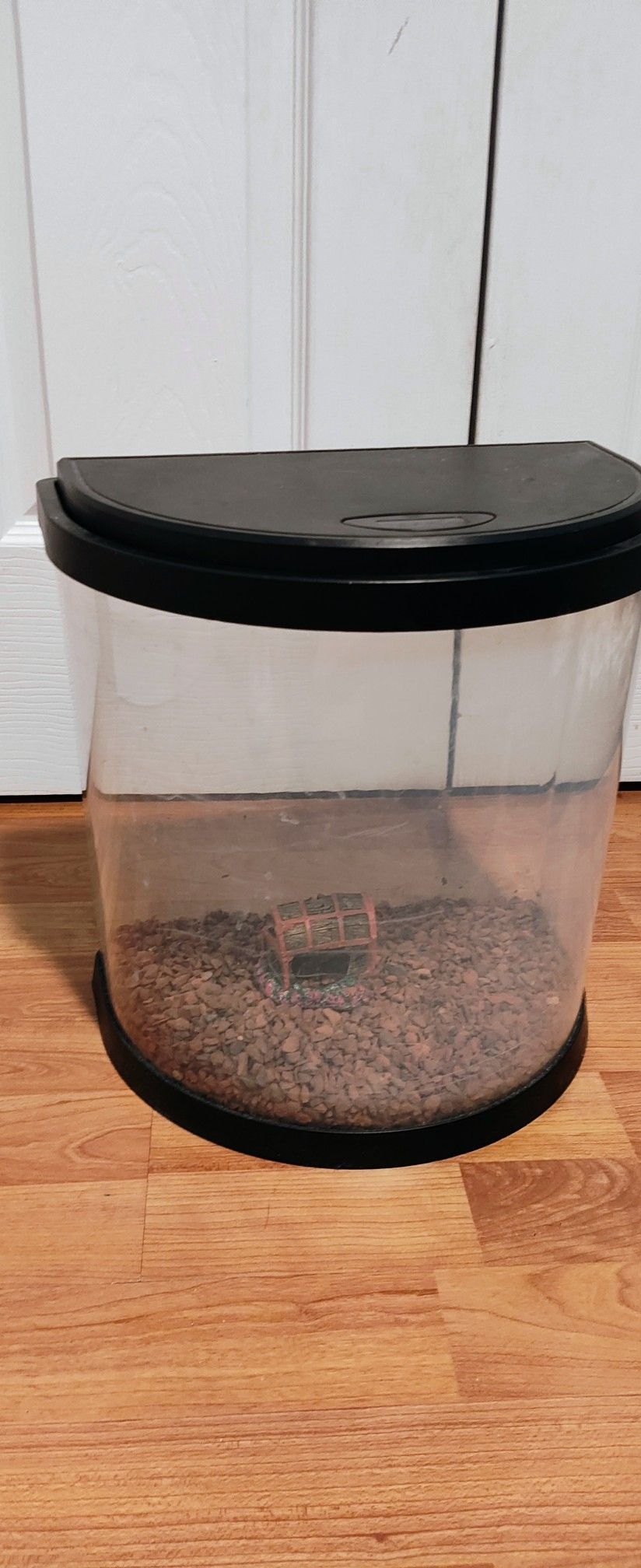 5 Gallon Fish Tank
