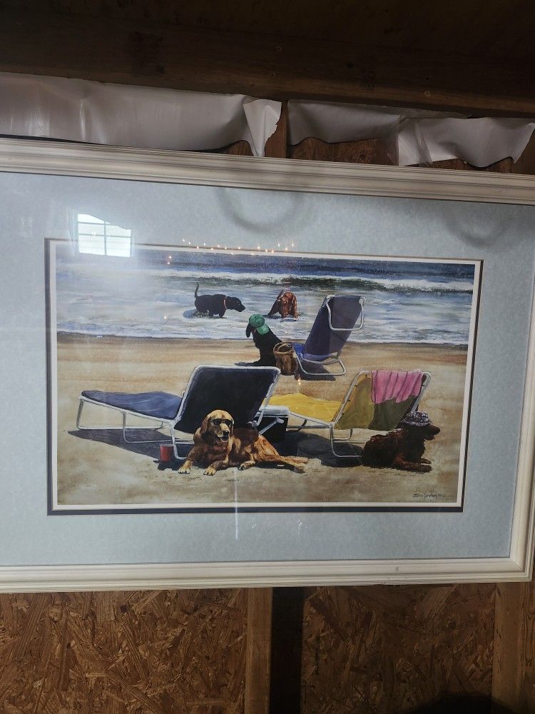 Beach Dog Picture
