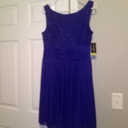 Jessica Haward Royal Blue Lace Shear Dress For Women 