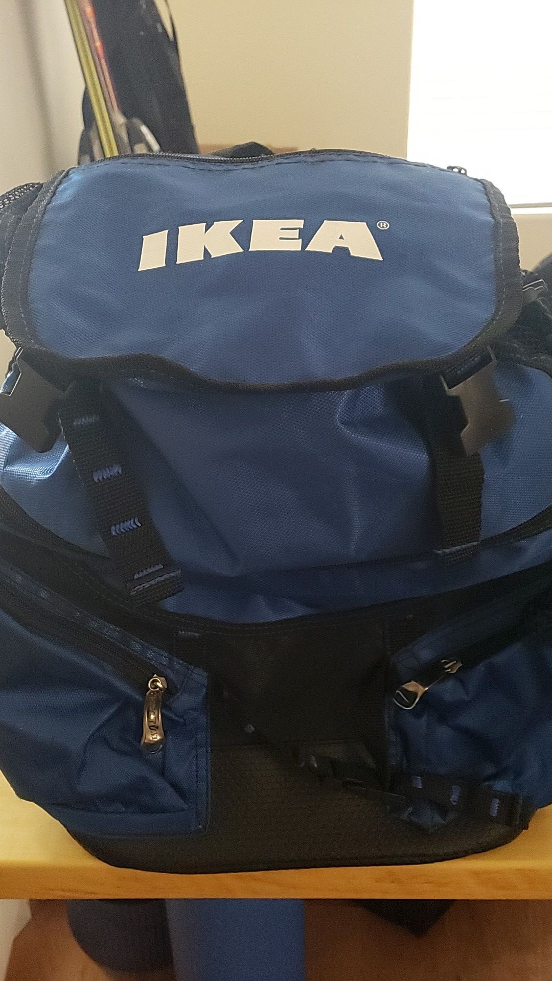 IKEA brand backpack cooler