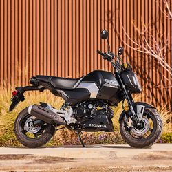Clean 2025 Honda Grom 