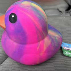 Squeeze Duck