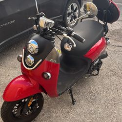 Ice Bear Red Scooter