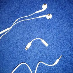 Apple Earbuds with RCA Output & Lightning Adapter Connector
