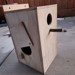 nests for indian ringneck