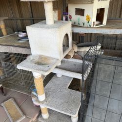 Cat Condo
