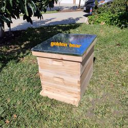 Beehive 20 Frame Complete Box Kit (10 Deep-10 Medium) Langstroth Beekeeping