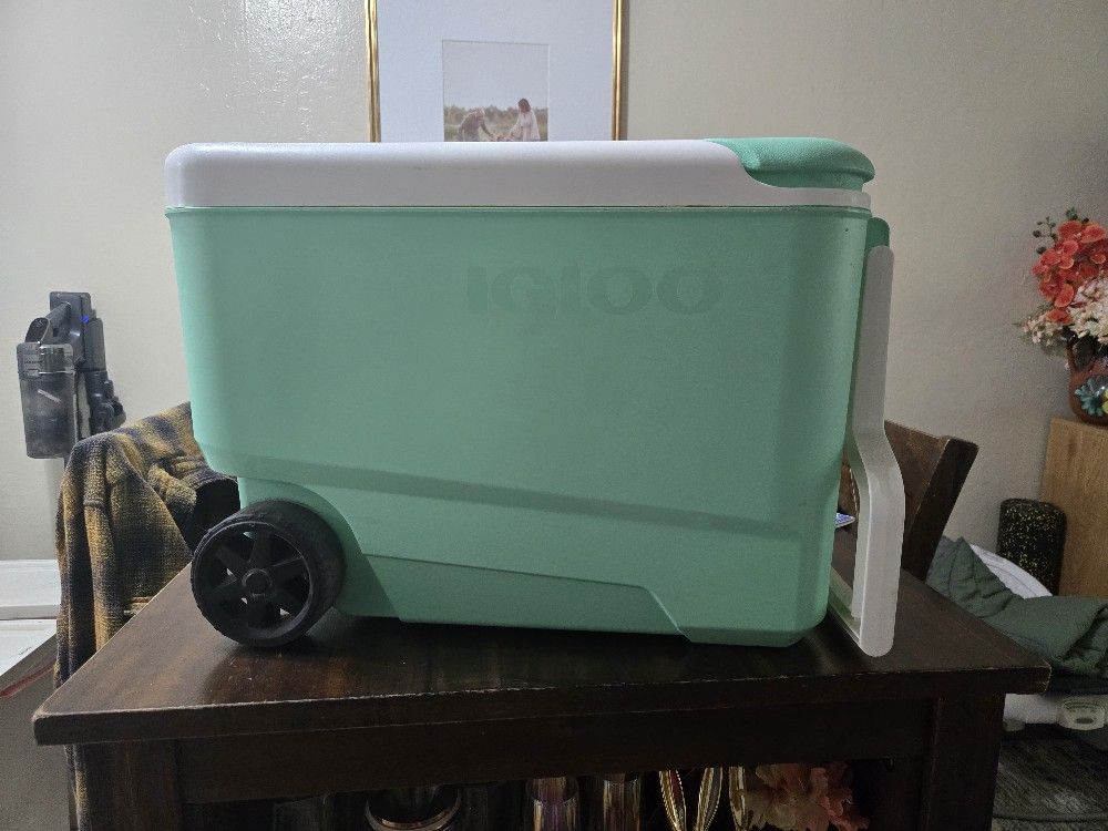 Cooler