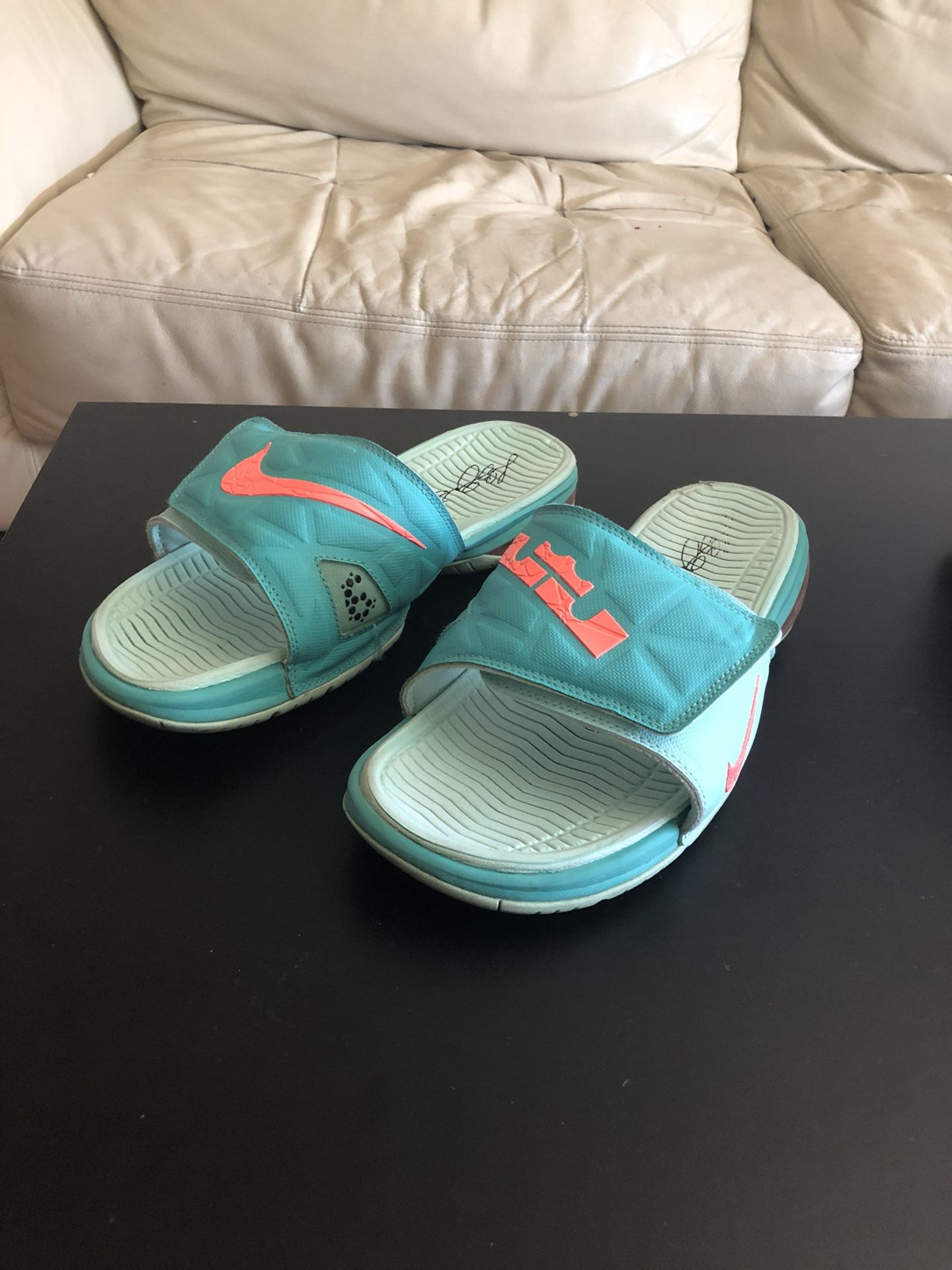 Nike LeBron Slides South Beach Edition