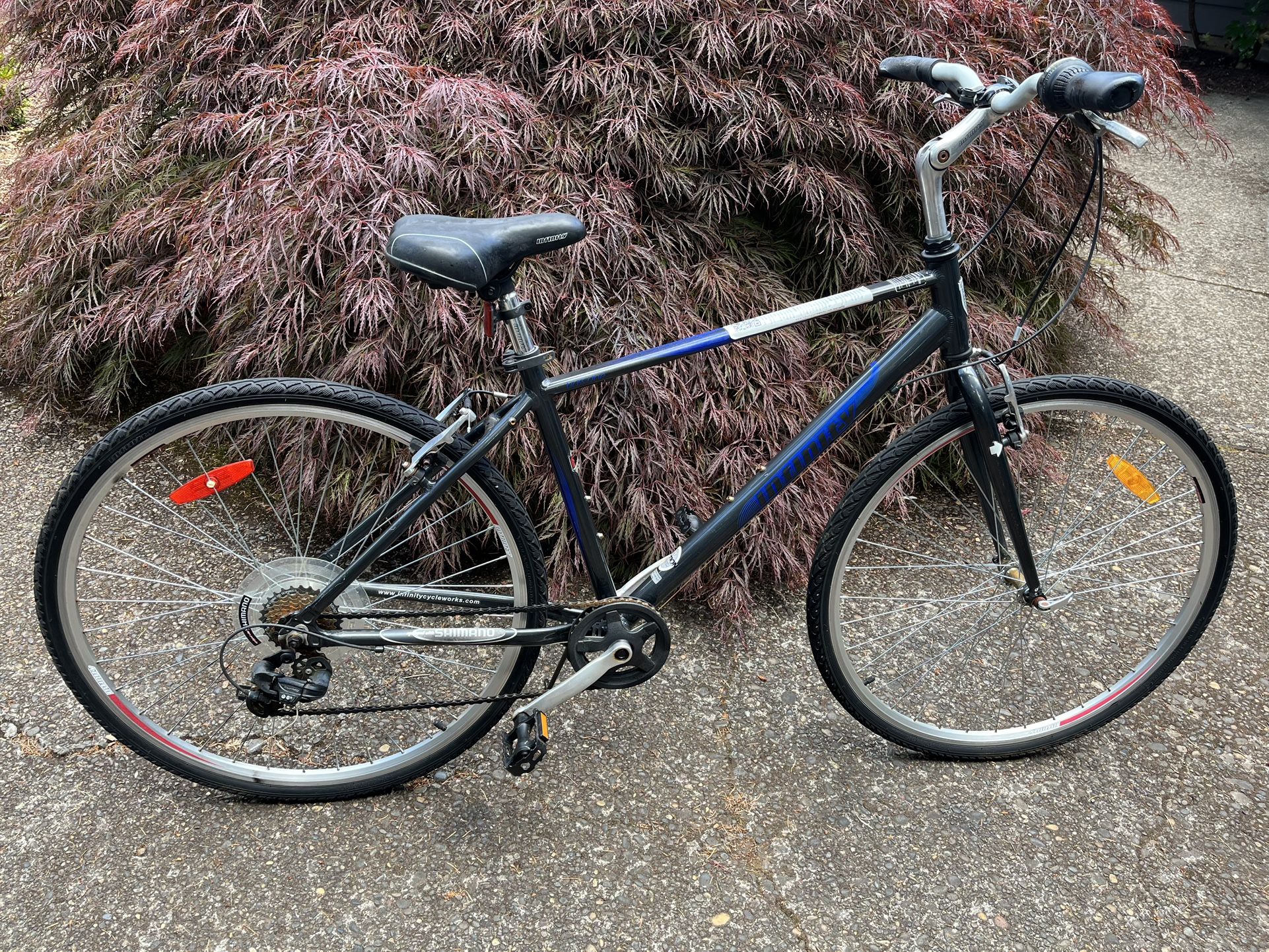 26” Bike (Infinity)