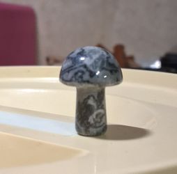 Picasso Jasper Mushroom 