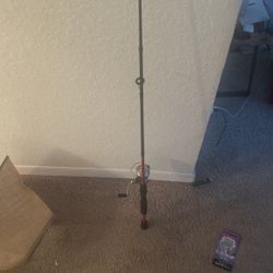 $20 Freshwater Fishing Rod