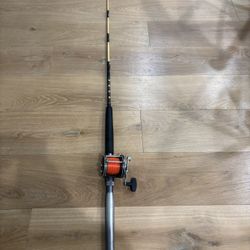 Penn Senator 113 Fishing Rod and Reel