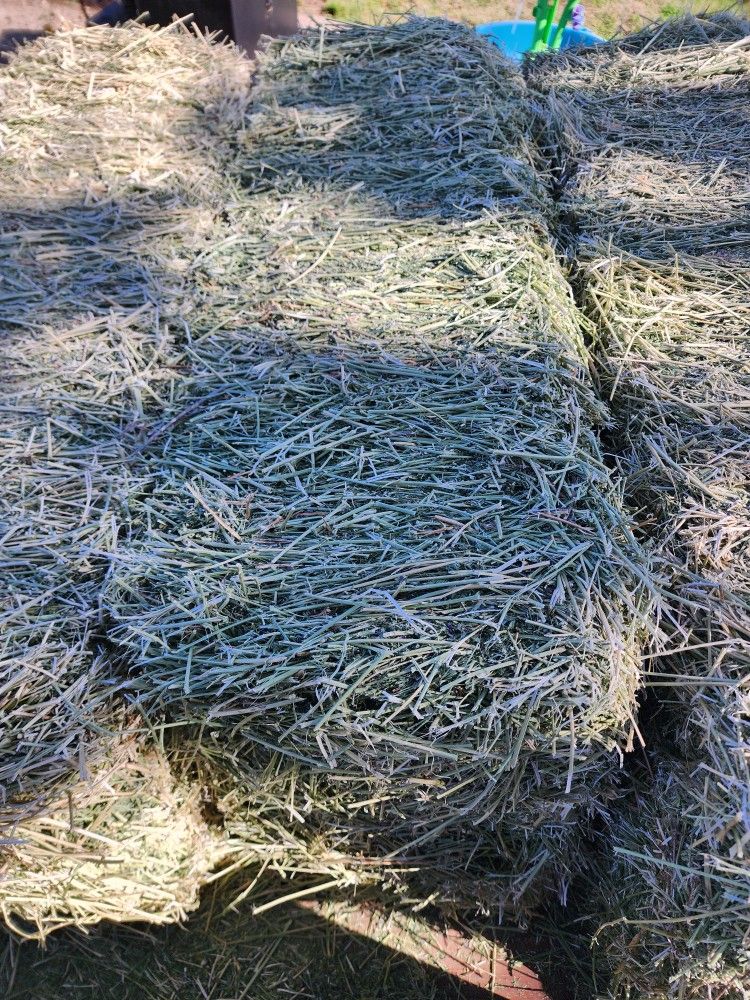 Alfalfa Number 2 Bales