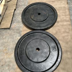 1” Weights  2x50 lbs