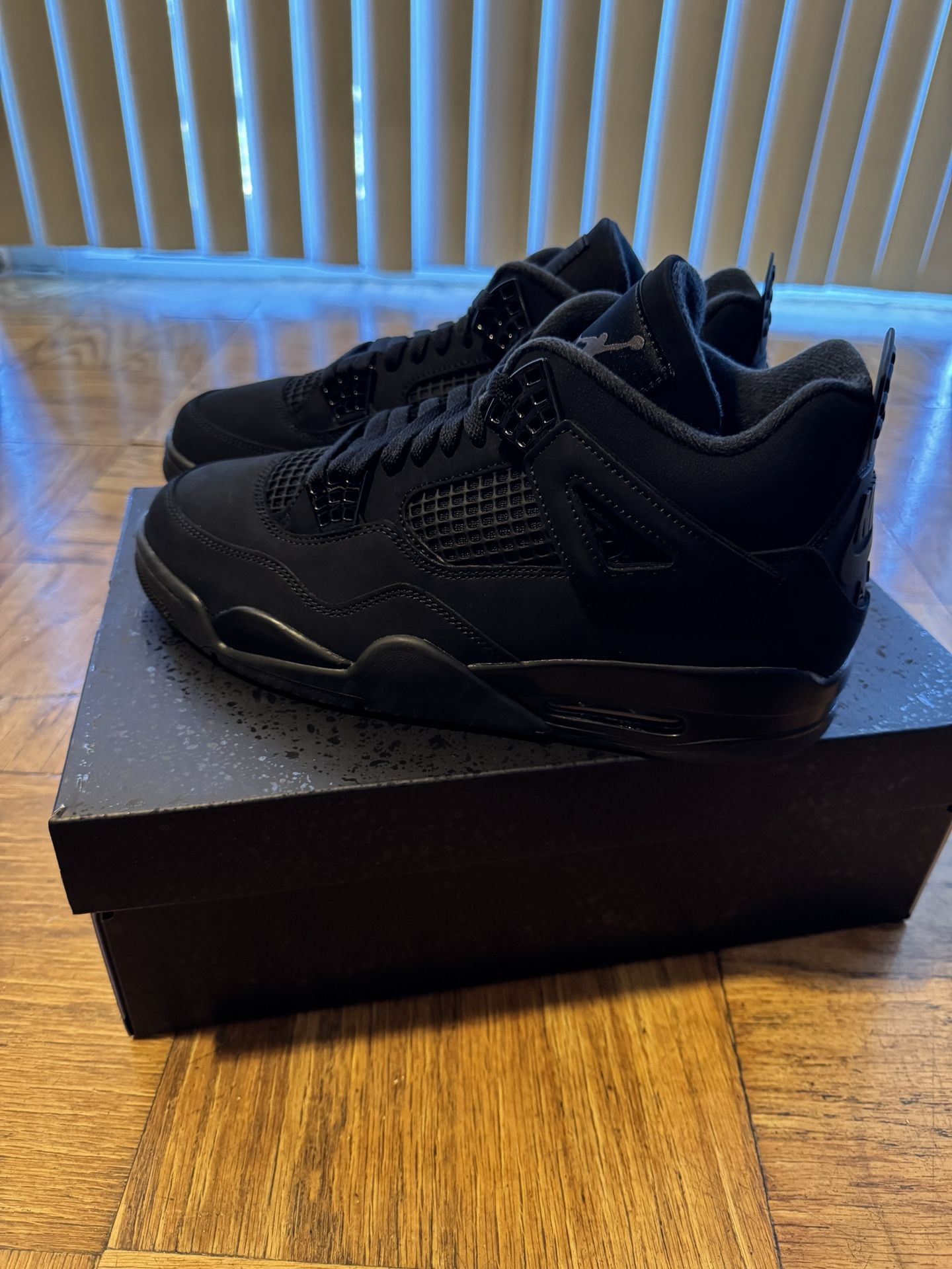 Black Cat 4’s - 2025