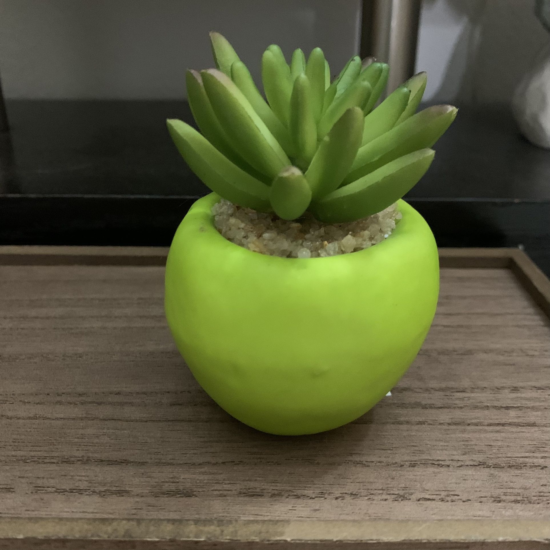 Apple Faux Succulent Plant